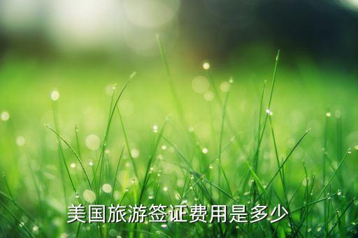 旅游签证需要多少钱，办理美国旅游签证手续费用是多少