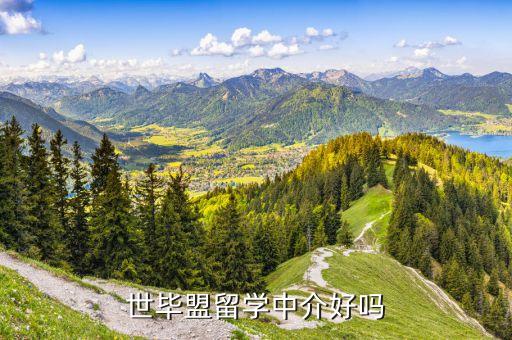 世毕盟留学中介好吗