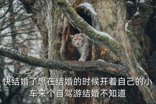 新婚自驾游最合适去哪好玩，快结婚了想在结婚的时候开着自己的小车来个自驾游结婚不知道