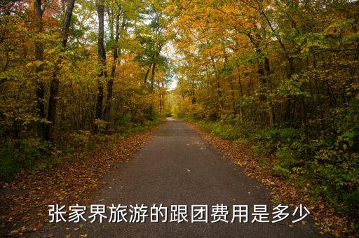 张家界旅游的跟团费用是多少