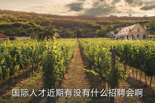 华夏国际出国劳务官网招聘，国际人才近期有没有什么招聘会啊