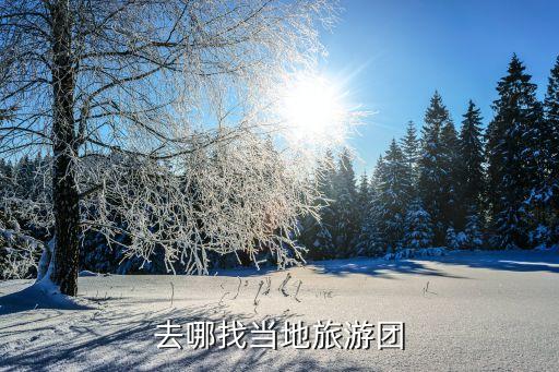 去哪找当地旅游团