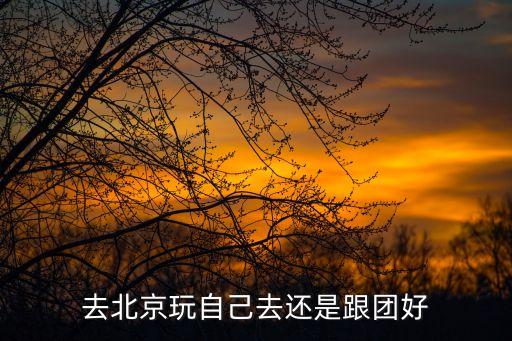 去北京玩自己去还是跟团好