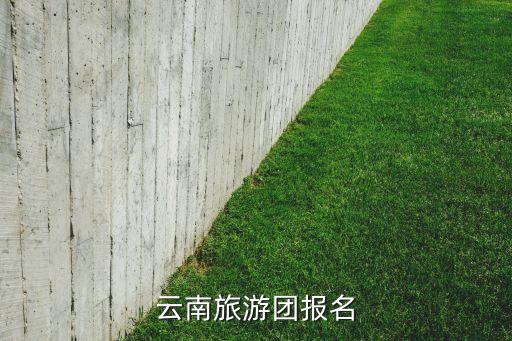云南旅游团报名