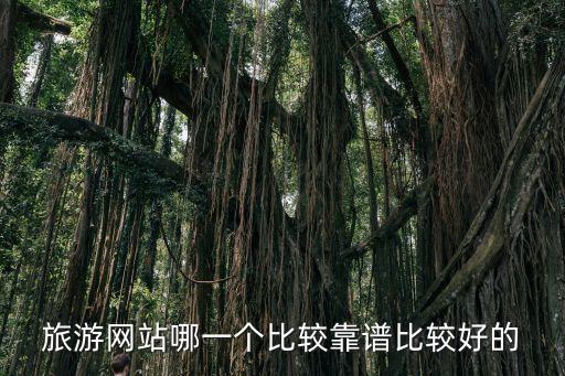 旅游网站哪一个比较靠谱比较好的