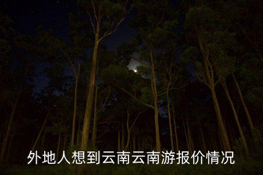 外地人想到云南云南游报价情况
