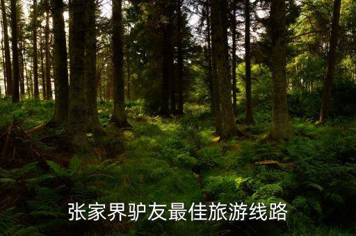 张家界驴友最佳旅游线路