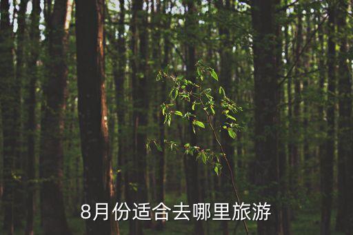 8月份适合去哪里旅游