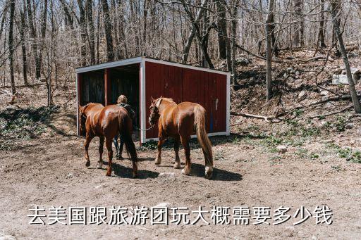 去美国跟旅游团玩大概需要多少钱
