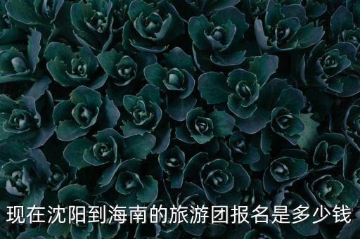 现在沈阳到海南的旅游团报名是多少钱