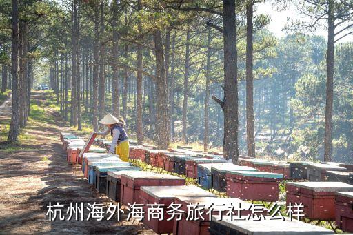 海外海旅行社有限公司，张家界海外国际旅行社有限公司名声好不