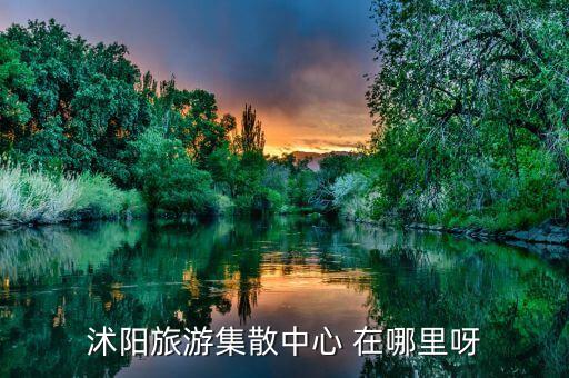 沭阳旅游集散中心 在哪里呀