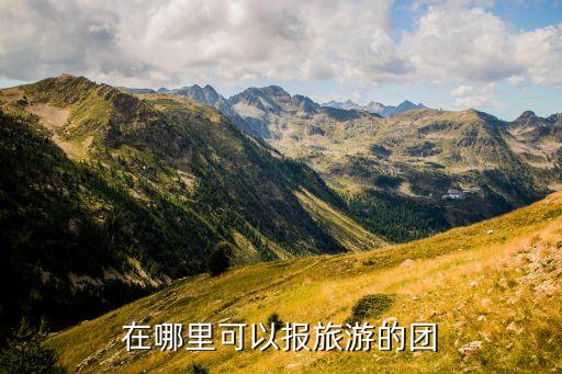 在哪里可以报旅游的团