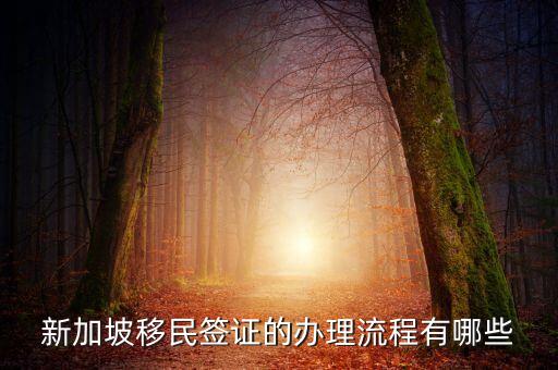 新加坡移民签证的办理流程有哪些