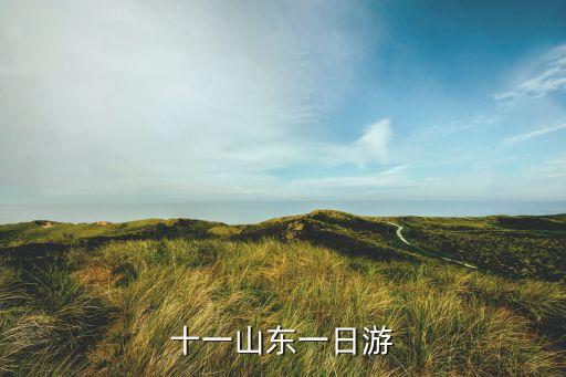山东跟团一日游，山东省内一日游哪里好玩最好是孩子们能玩的