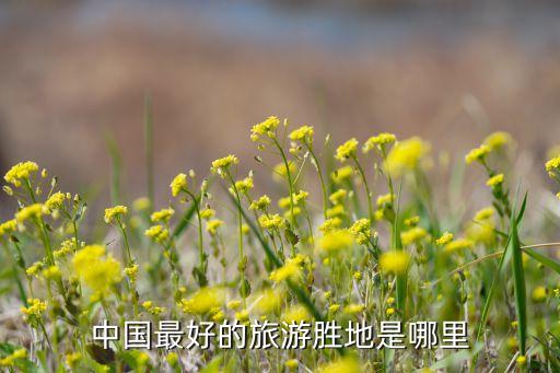 国内最好的旅游景点是哪里，中国最好的旅游胜地是哪里