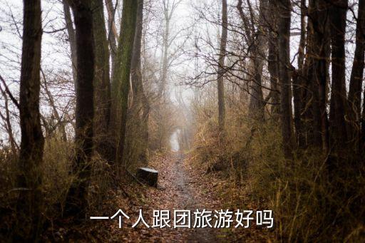 一个人跟团旅游好吗