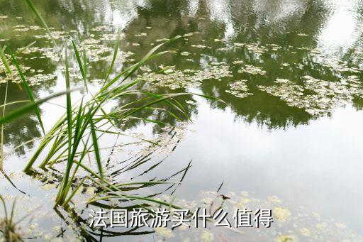 法国旅游买什么值得