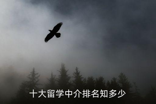 十大艺术留学中介排名，十大留学中介排名知多少