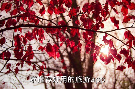 求推荐好用的旅游app