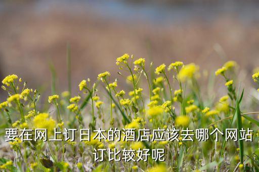 要在网上订日本的酒店应该去哪个网站订比较好呢