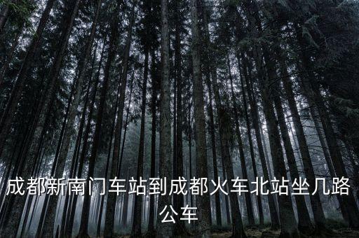 成都新南门车站到成都火车北站坐几路公车