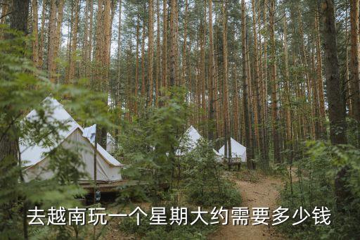 去越南玩一个星期大约需要多少钱