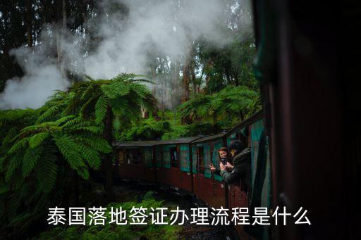 泰国落地签证办理流程是什么