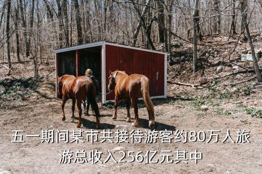 五一期间某市共接待游客约80万人旅游总收入256亿元其中