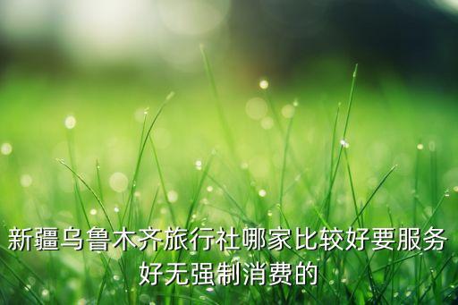 新疆乌鲁木齐旅行社哪家比较好要服务好无强制消费的