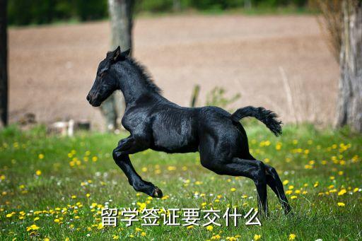 留学签证要交什么