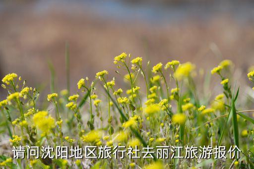 请问沈阳地区旅行社去丽江旅游报价