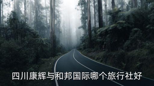 四川康辉与和邦国际哪个旅行社好
