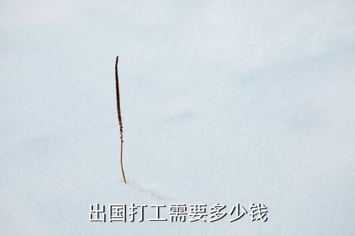 出国打工需要多少钱