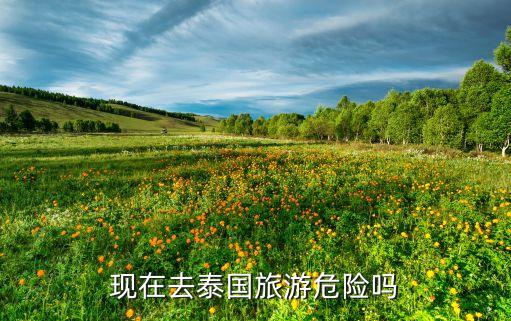 现在去泰国旅游危险吗