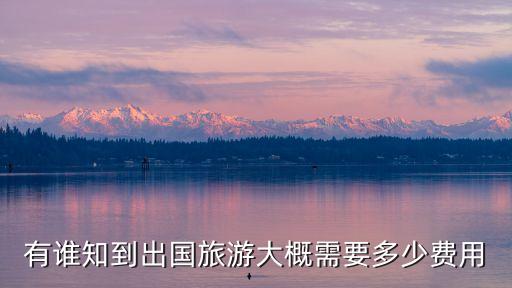 国外旅游的费用是多少，有谁知到出国旅游大概需要多少费用