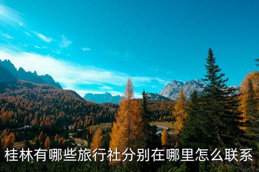 桂林有哪些旅行社分别在哪里怎么联系
