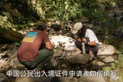 中国公民出入境证件申请表如何填写