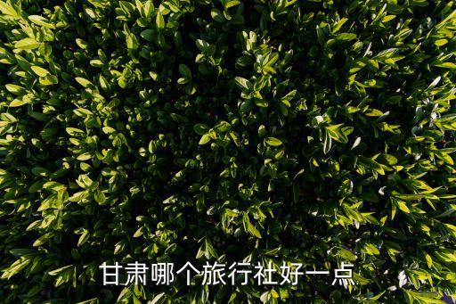 甘肃旅行社哪家好些，甘肃哪个旅行社好一点