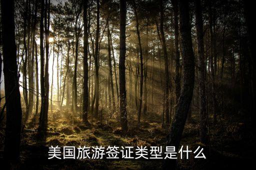 美国旅游签证类型是什么