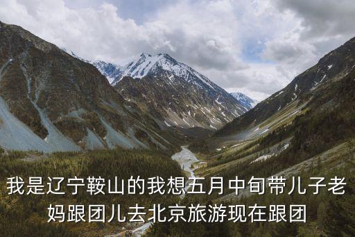 我是辽宁鞍山的我想五月中旬带儿子老妈跟团儿去北京旅游现在跟团