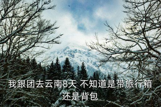 我跟团去云南8天 不知道是带旅行箱还是背包