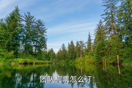 团队机票怎么订