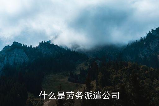 劳务派遣有限公司，昆明轩昂劳务派遣有限公司是不是骗子公司他们说我要交了什么档案