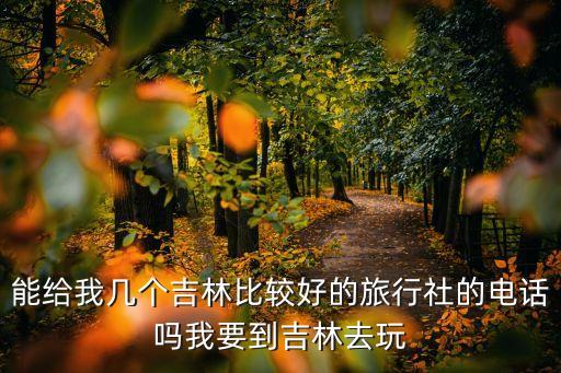吉林市旅行社，吉林市哪家旅游社比较好