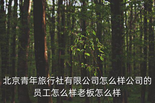 北京中国青年旅行社简介，北京中青旅怎么样