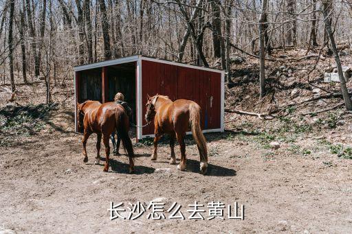 长沙怎么去黄山
