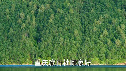 重庆地接社，重庆可以挂靠的旅行社有哪些