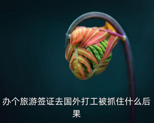 办个旅游签证去国外打工被抓住什么后果