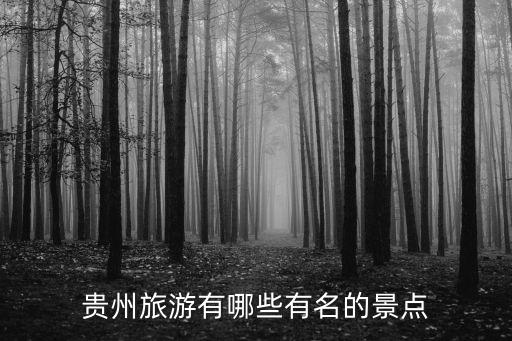 贵州旅游有哪些有名的景点